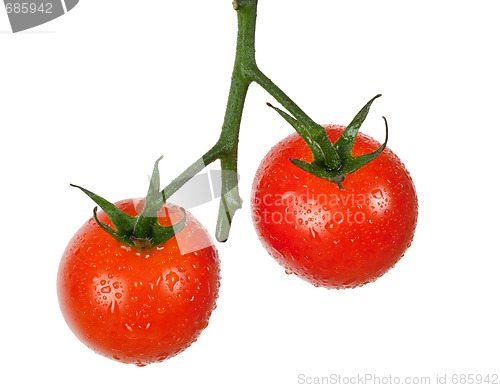 Image of Tomatoes on a vine