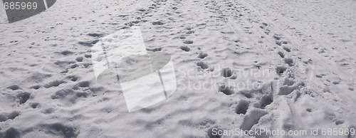 Image of tracks in snow