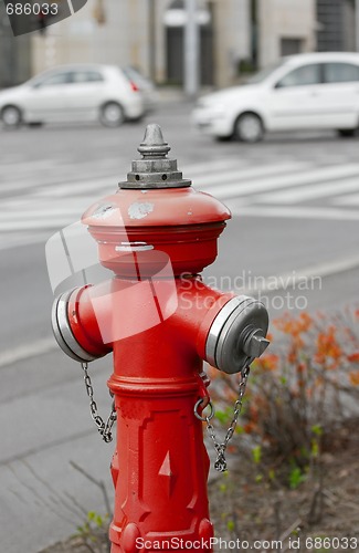 Image of Hydrant