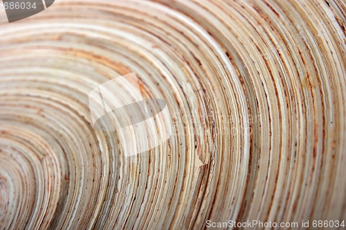 Image of Background