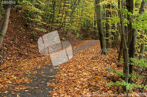 Image of Path