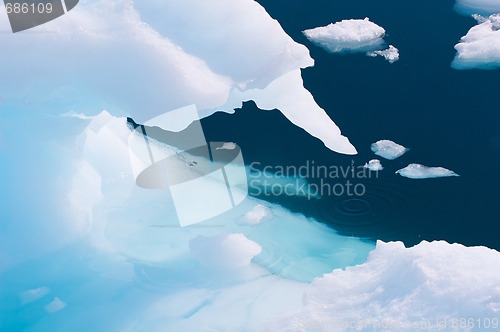 Image of Iceberg dripping