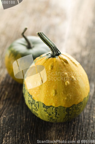 Image of Pumpkin