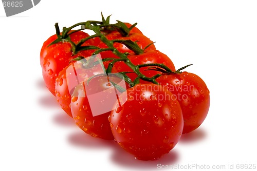 Image of Tomatoes isolated on white with clipping path