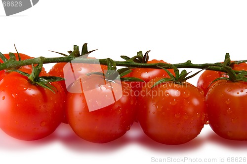 Image of Tomatoes isolated on white with clipping path