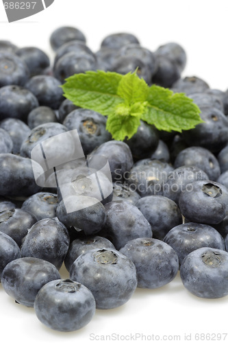 Image of Blueberries