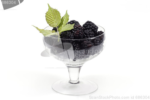 Image of Blackberries