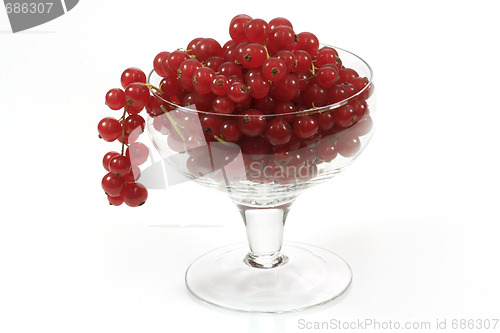 Image of Red currants