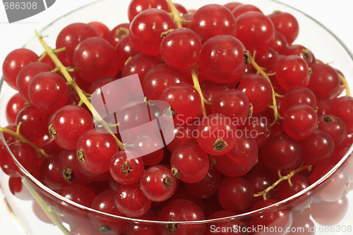 Image of Red currants