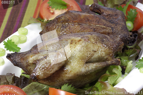 Image of Fried pigeon