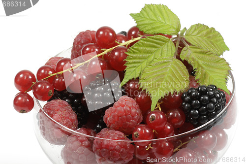 Image of Berries