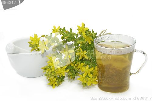 Image of Saint-Johns wort tea