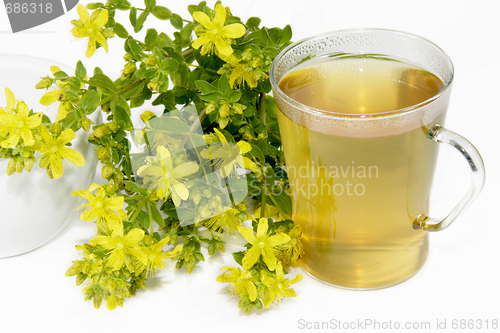 Image of Saint-Johns wort tea