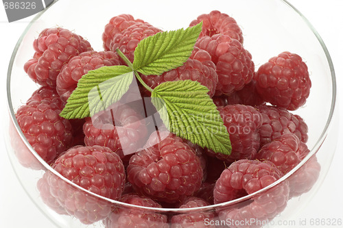 Image of Raspberries