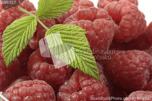 Image of Raspberries