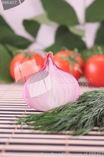 Image of Onions with fennel against a tomato