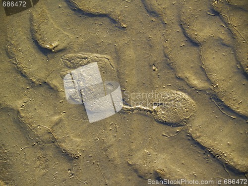Image of sandy ground footprint