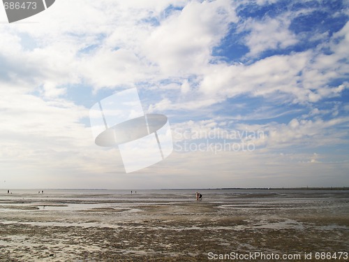 Image of low tide tideland