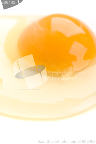 Image of chiken egg