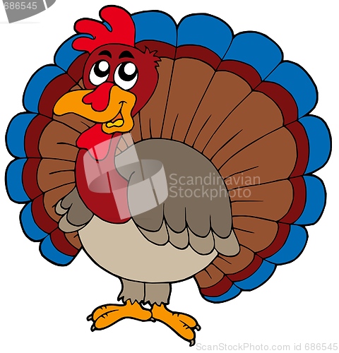 Image of Cartoon turkey
