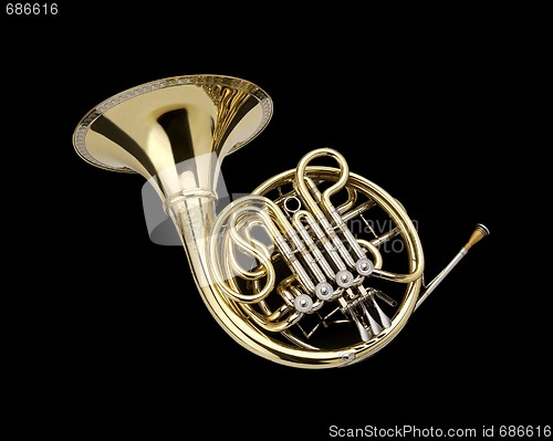 Image of French horn