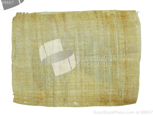 Image of Papyrus paper
