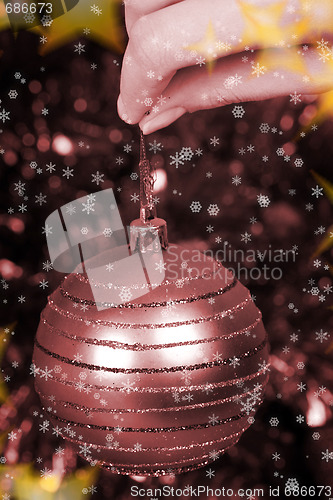 Image of Christmas decorations