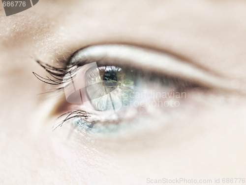 Image of Eye macro