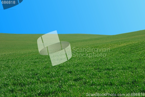 Image of Field