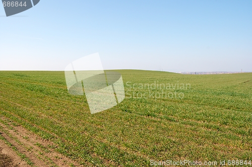 Image of Field