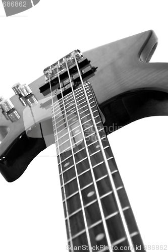 Image of Bass