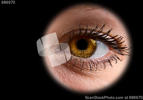 Image of woman gold  eye