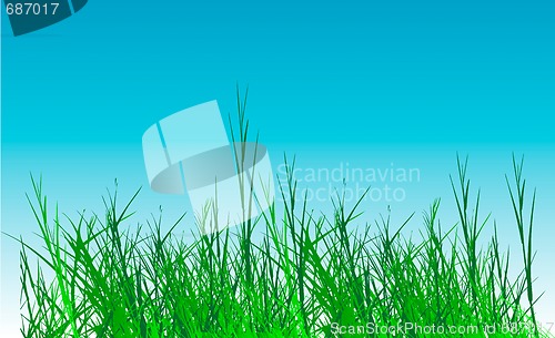 Image of Summer day