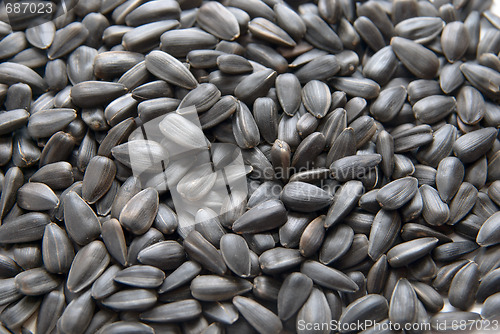 Image of Sunflower seed