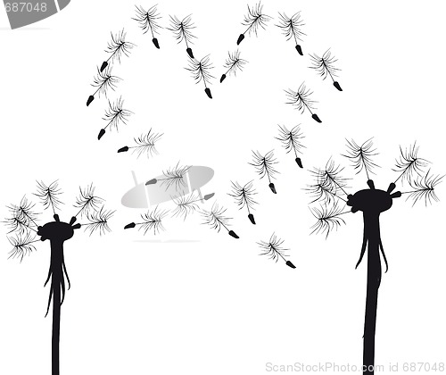 Image of love dandelion concept