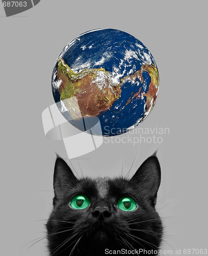 Image of cat playing with earth