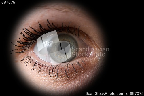 Image of grey eye 