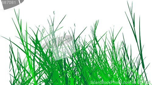 Image of grass vector