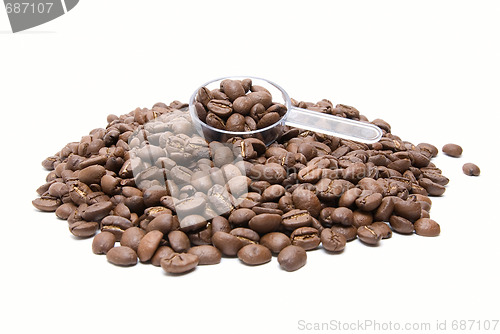 Image of Coffee beans