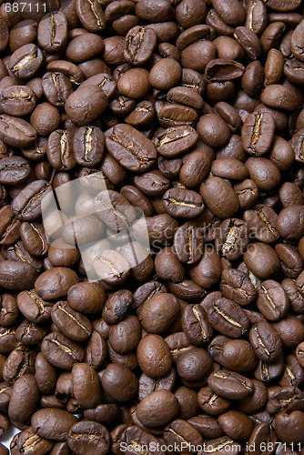 Image of group coffee beans