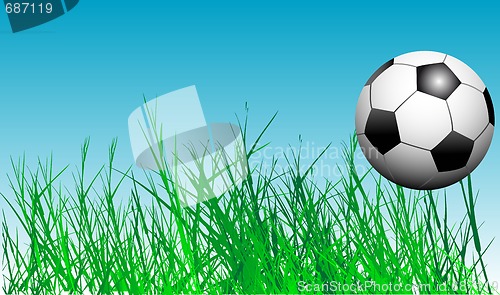 Image of soccer ball in the grass