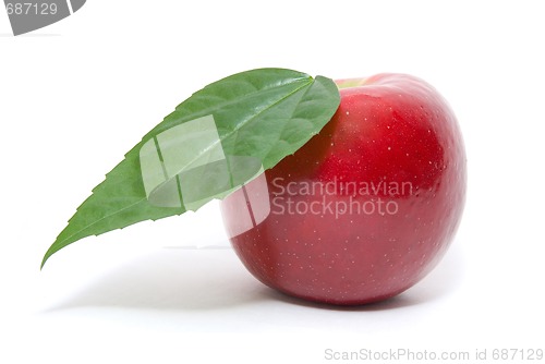 Image of red apple