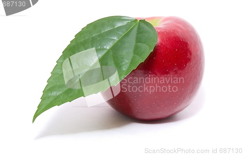 Image of red apple with leaf