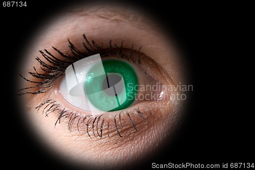 Image of woman green eye 
