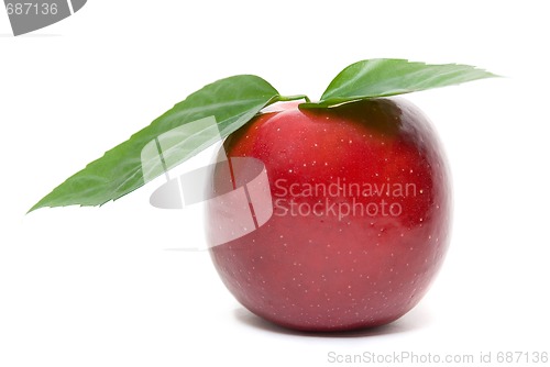 Image of ripe fresh red apple with leaves 