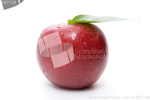 Image of fresh red apple