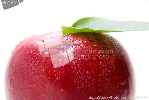 Image of Close-up of ripe fresh red apple