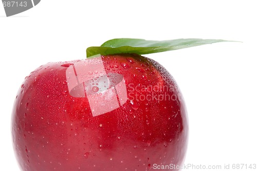 Image of ripe fresh red apple