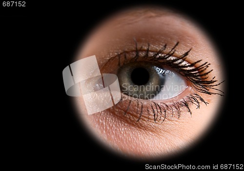 Image of grey woman eye