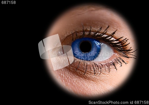 Image of blue woman eye